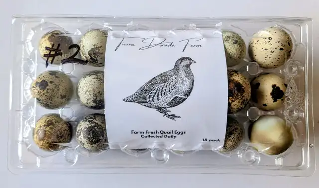 Quail Eggs482655267738757120