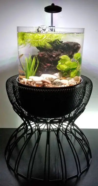 Nano aquarium recherche preneur, View more