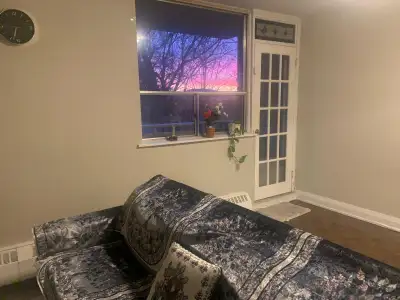 room for rent