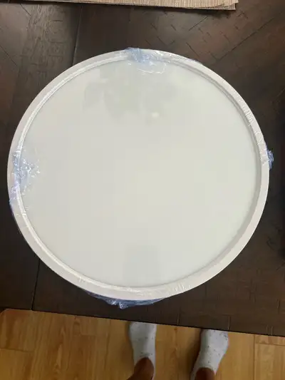 Two ceiling LED lights One is 12 inches and the other is9 inches