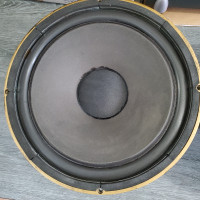 Tannoy HPD 385A  15 " Drivers in Custom Tannoy Cabinets