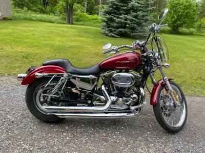 Beautiful 2005 Harley Davidson Sportster 1200 Custom in classic red, showing less than 29,000 km. Th...