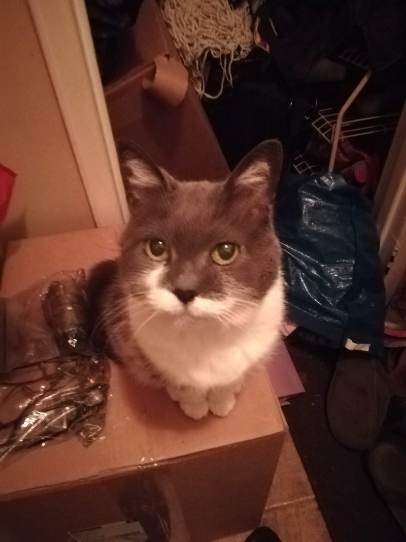 Looking for Jamie Clark(e) Ancaster/Hamilton area Missed Connections