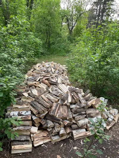 Firewood seller. Mixed firewood. Poplar/pine. 4x4x8. 1 cord $380. 4x4x4 Half a cord $190. Seasoned f...