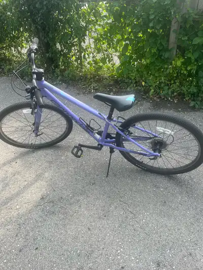 Cannondale Mountain Bike, View more