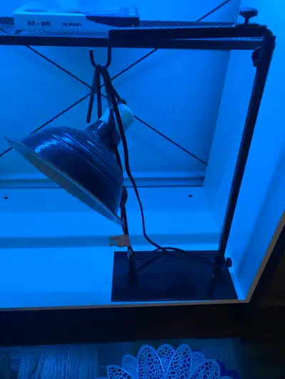 Reptile Heat Lamp with Adjustable Stand, View more