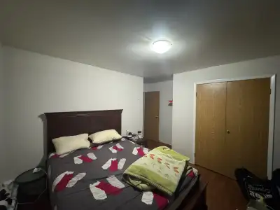 ROOM AVAILABLE IN SHARING