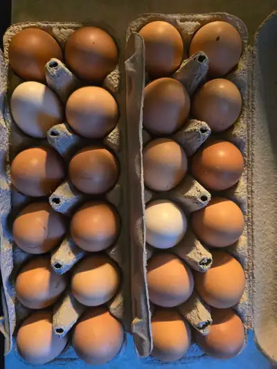 Fresh Farm Eggs $6/Dozen, View more