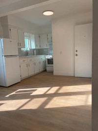 1 bedroom apartment power included - $1,300 / month