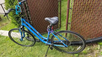 Liv Flourish Hybrid Bike, View more