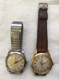 Tudor watches 