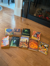 Assorted YA fiction books
