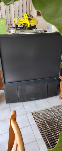 ProScan rear protection TV 50-in