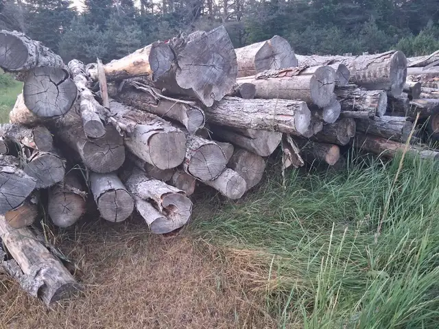 needing your log pile cut and split? in Fireplace & Firewood in Muskoka - Image 4