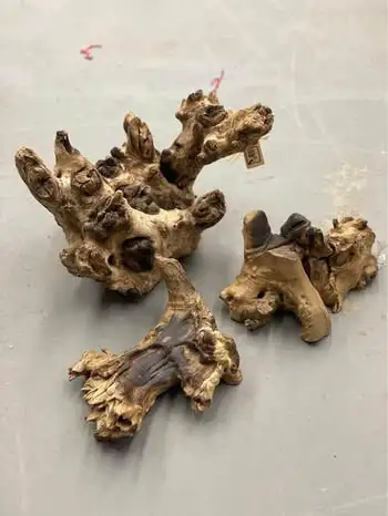 Unique Burl wood 3 sizes aquarium terrarium reptile enclosure wo, View more