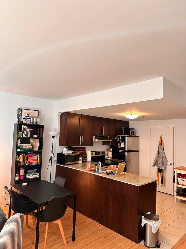 Large 1-Bedroom, 1.5-Bath in (3 1/2) Apartment dans Locations longue durée  à Ville de Montréal - Image 3