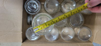 12 Wide Mouth Mason/Canning Jars