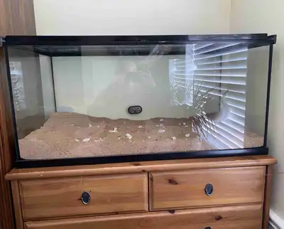 40 Gallon Reptile enclosure , View more