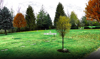 Cemetery Plots for Sale - Side by Side - in Surrey