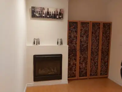 Beautiful, clean, and quiet one-bedroom basement apartment in a safe, well-maintained home. This bri...
