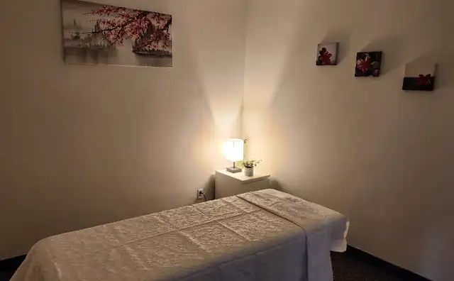 Professional Massage62863250957186123