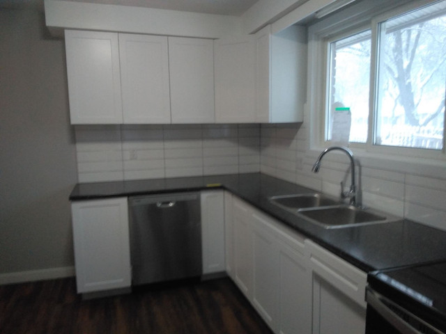 NEWLY RENOVATED 3 BDRM 1 BATH MAIN LEVEL FOR RENT, NIAGARA FALLS in Long Term Rentals in St. Catharines
