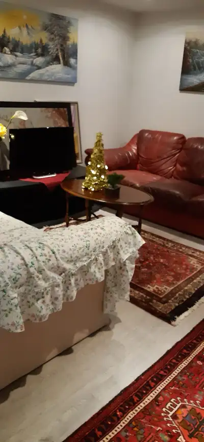1 bedroom for rent in a fully furnished basement available ASAP. All utilities INCLUDED. Close to Hu...