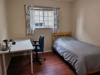 Room situation: Spacious private room on the ground floor Fully furnished: bed with linens, bedside...