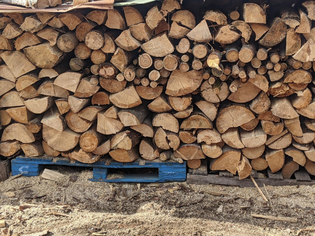 bois de chauffage  sec dans Foyers & bois de Chauffage  à Saguenay