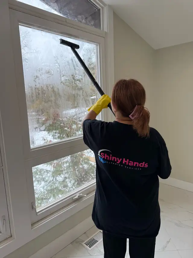 Professional cleaning65203779588610123