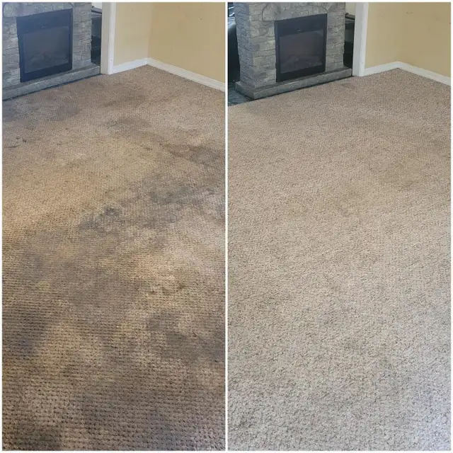 Professional Carpet & Upholstery Cleaning