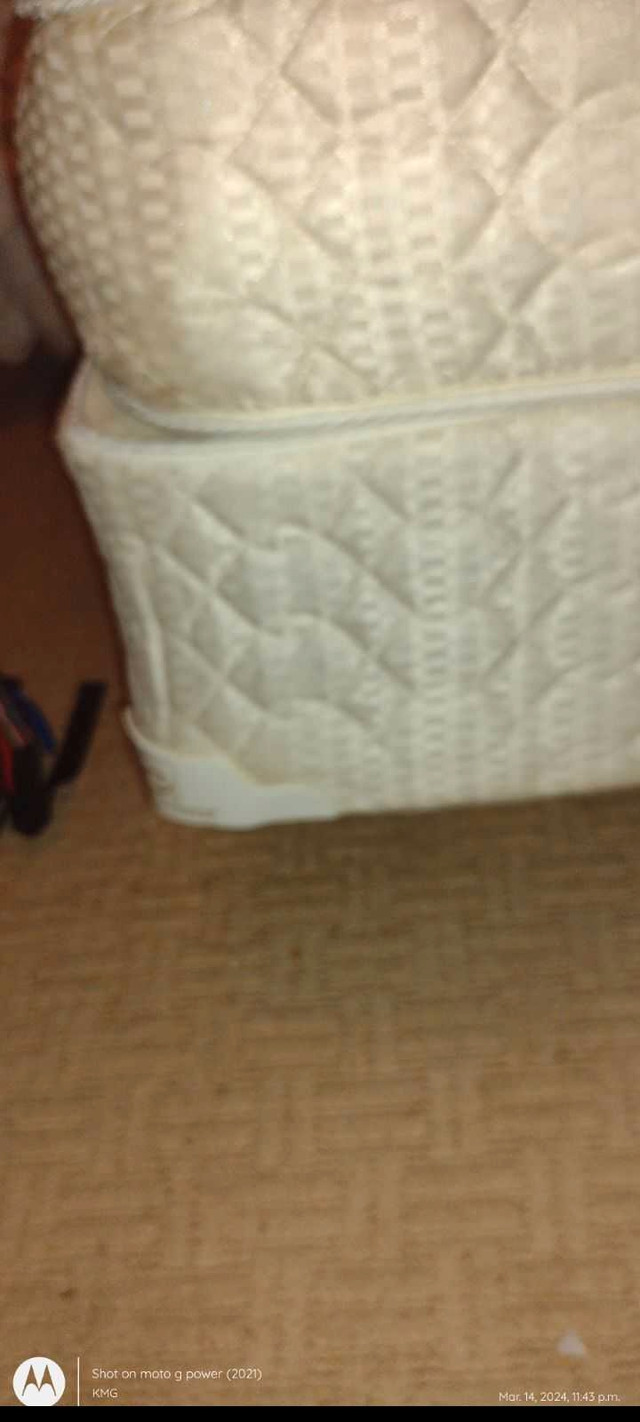 QUEEN SERTA PERFECT SLEEPER MATTRESS & BOXSPRING $250 OBO in Beds & Mattresses in Delta/Surrey/Langley - Image 4