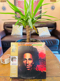 Bob Marley - Natty Dread (half speed master) LP