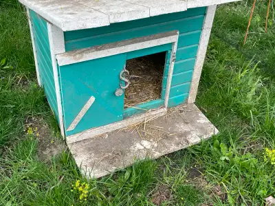 sleeping coop, View more