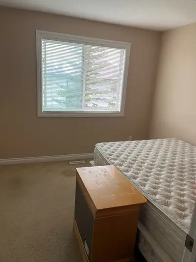 one bed room for rent 800 south west edmonton