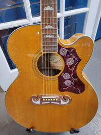 instruments guitars guitare epiphone