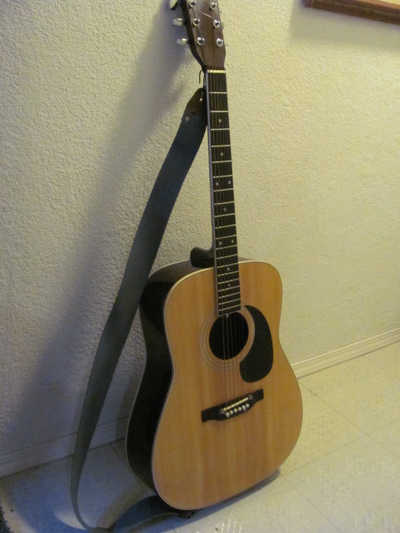 Acoustic Guitar, View more