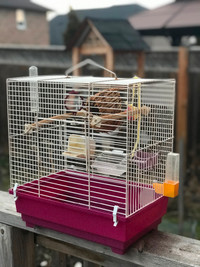 Bird cage with lots of accessories