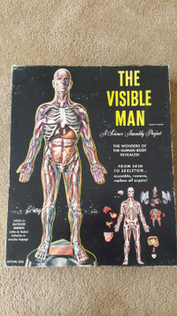 Vintage The Visible Man human body science model kit