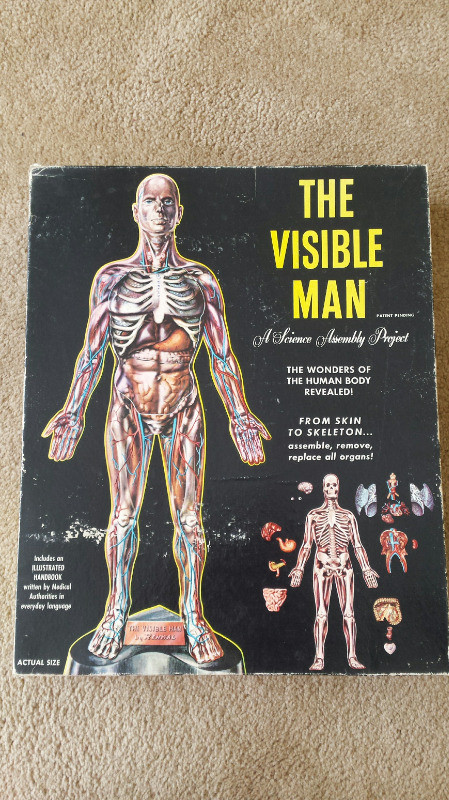 Vintage The Visible Man human body science model kit in Arts & Collectibles in Kitchener / Waterloo