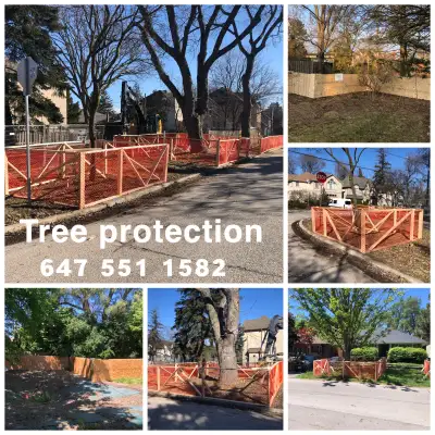 Tree protection , View more