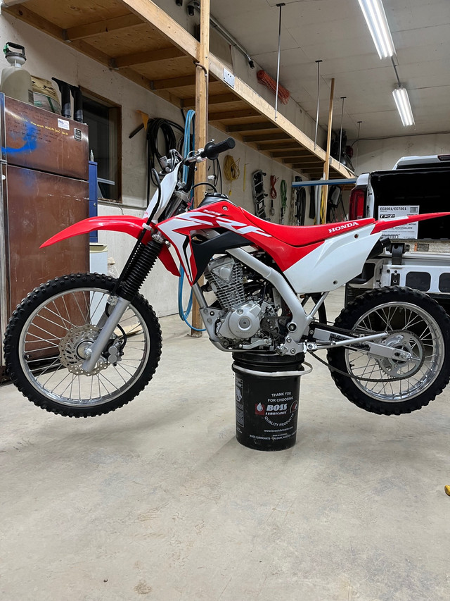 Honda crf 125 in Dirt Bikes & Motocross in Moose Jaw