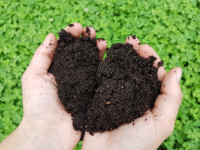 Genuine Compost Worm Castings, Natural Organic Fertilizer