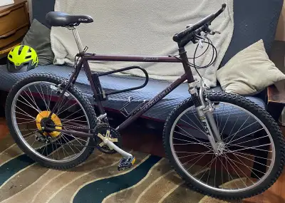 Vintage Bianchi Forte Mountain Bike, View more