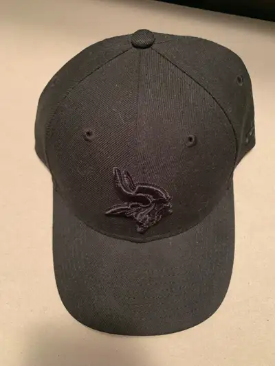 Brand New Men’s “Minnesota Vikings” Velcro Back Hat $20, View more