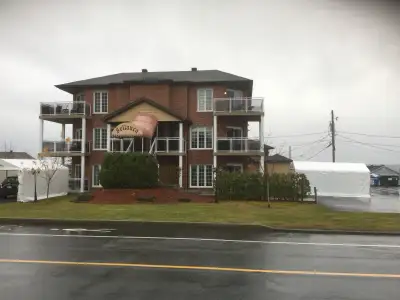 Beau logement 4 1/2 bien situé sur la 10e avenue. Appartement haut de gamme, bien isolé et insonoris...