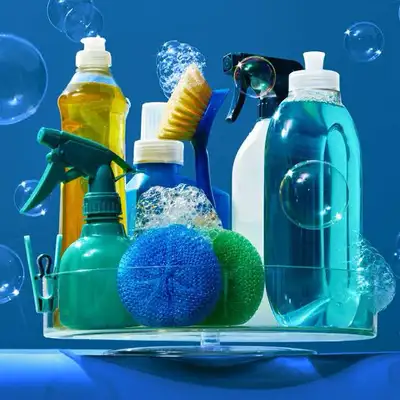 Cleaners wanted in GTA, View more