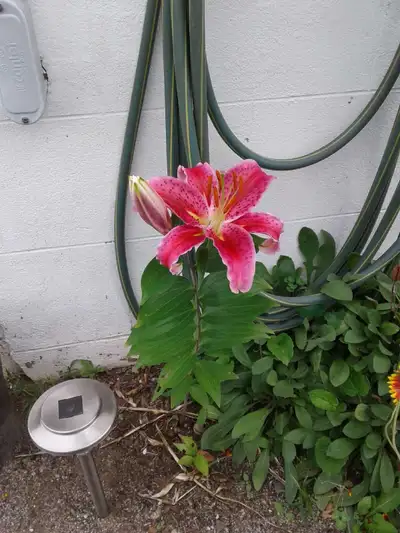 Room for rent on main floor private home in west fort parking laundry shared kitchen preference will...