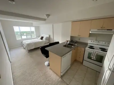 Furnished bachelor apartment All Inclusive with en-suite washroom for rent 1 Double Bed 1 Private En...