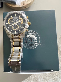 Citizen eco-drive quartz 42mm montre pour homme porter 5 fois pa